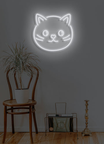 CAT | COOL SIGNS #16 | NEON LIGHTING